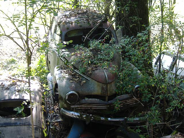 Autofriedhof - 139.JPG - Historischer Autofriedhof,    Gürbetal (CH)